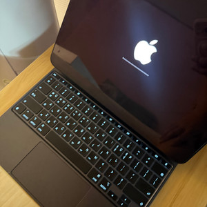 아이패드프로 m4 13 256wifi +애플 매직 키보드 + 애플 펜슬 프로