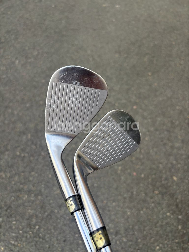골프 교웨이 베가 VW-10 웨지 52,56--3