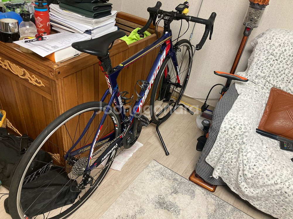 메리다 리액토 4000 2018 팀 바레인--1