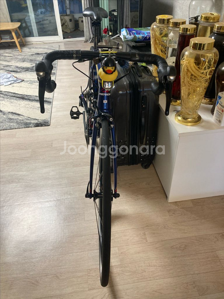 메리다 리액토 4000 2018 팀 바레인--2