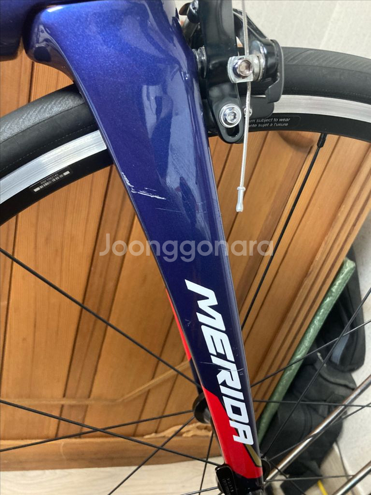 메리다 리액토 4000 2018 팀 바레인--5