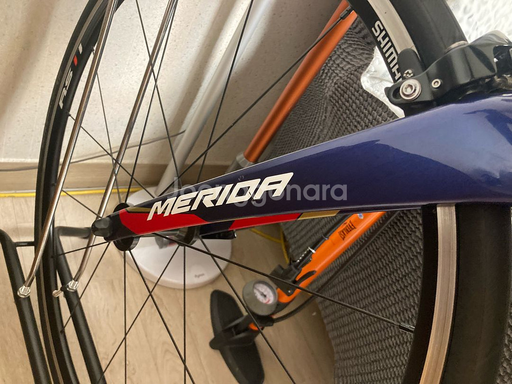 메리다 리액토 4000 2018 팀 바레인--6