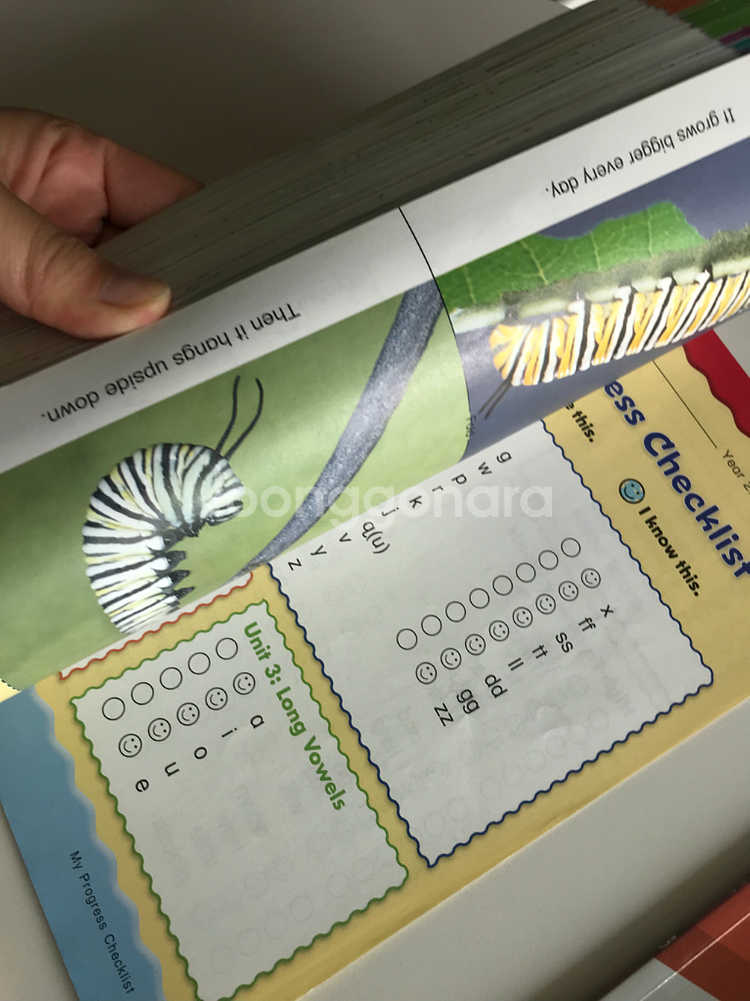 새들리어 파닉스 일괄만 판매--1