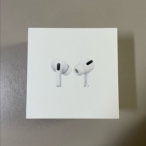 애플 에어팟 프로 1세대