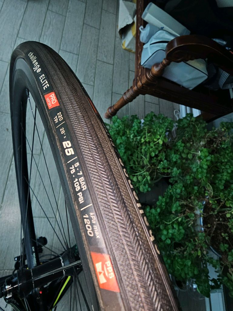 스페셜라이즈드 타막(2017)올카본--3