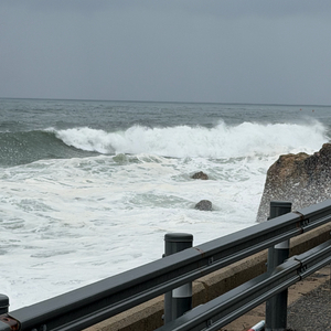 스타벅스 아메리카노 T