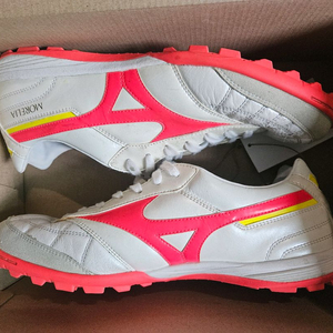 미즈노 모렐리아 살라 재팬 TF 270