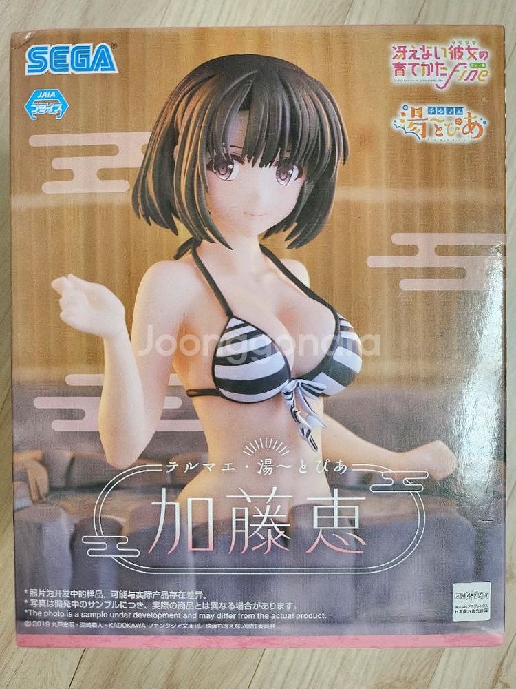 사에카노 카토 메구미 테루마에 수영복 피규어--3