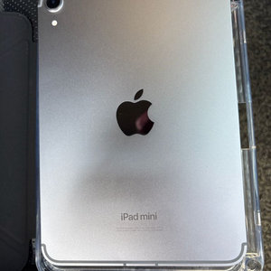 아이패드미니7 256 셀룰러 애케플