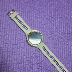 가민 포러너 970 프렌치 그레이/인디고