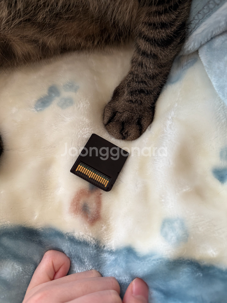 닌텐도 DS 포켓몬스터 하트골드 알칩 판매합니다--2