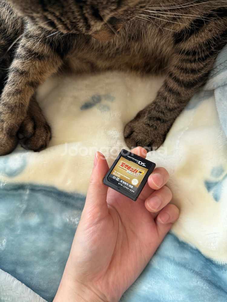 닌텐도 DS 포켓몬스터 하트골드 알칩 판매합니다--1