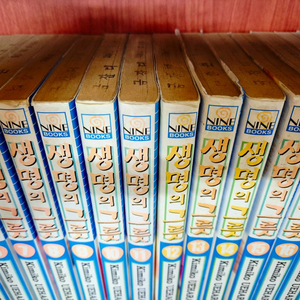 만화 생명의 그릇 1~22권 (무료택배)