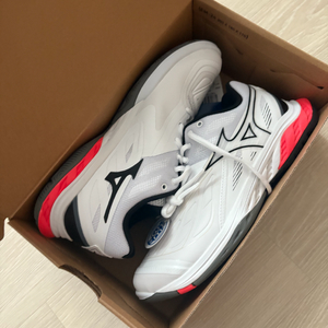 미즈노팡2 배드민턴화 255mm