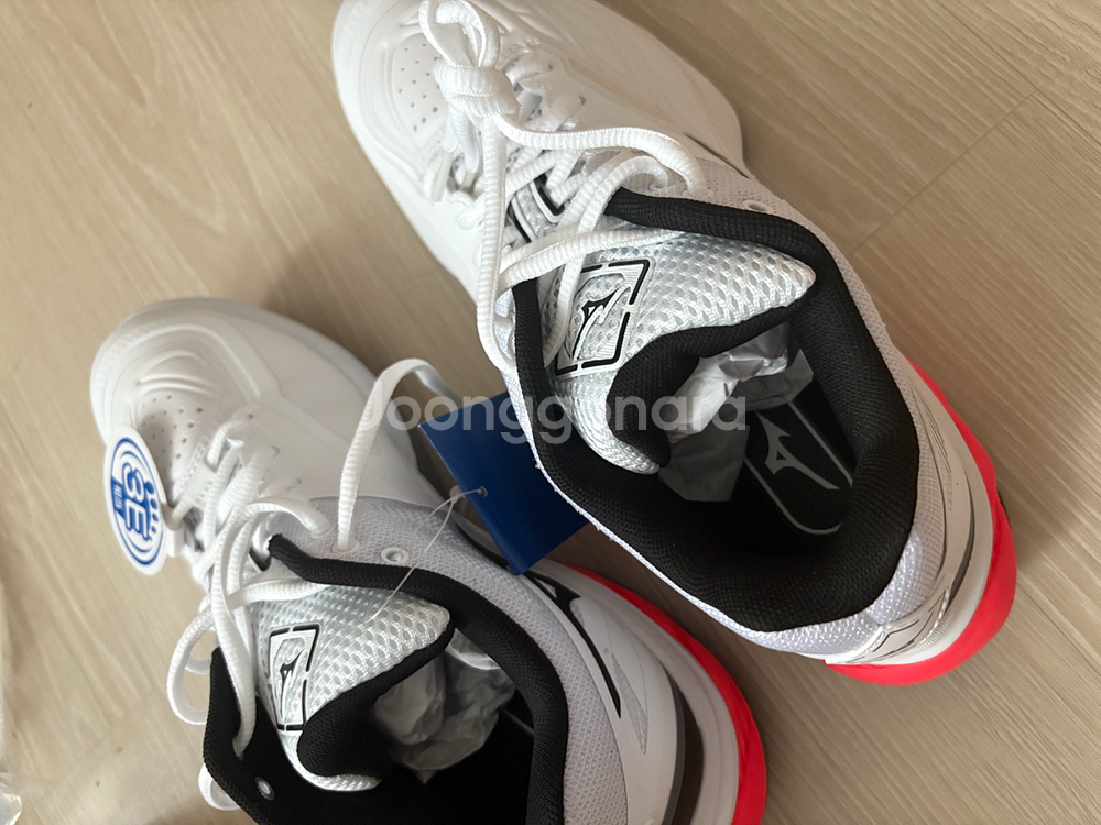 미즈노팡2 배드민턴화 255mm--1