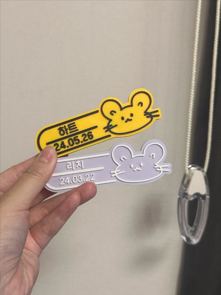 피그미다람쥐 7주차 오레오H 공주들 분양해요! 이미지