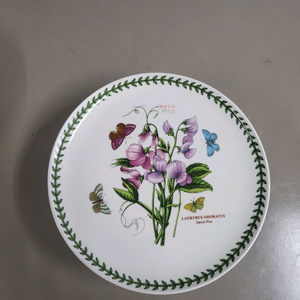 포트메리온 보타닉가든 케이크 접시 사용전