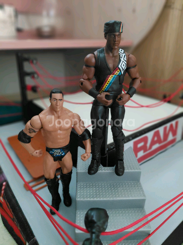 WWE 레이디 블랙 피규어--0