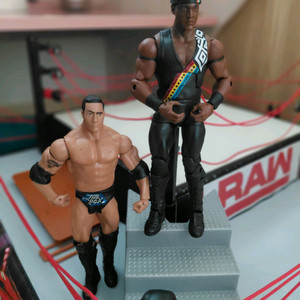 WWE 레이디 블랙 피규어