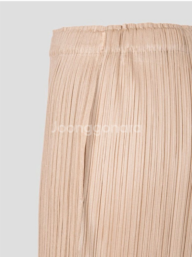 이세이미야케 플리츠플리즈 바지 8월 먼슬리 팬츠 베이지 5사이즈--2