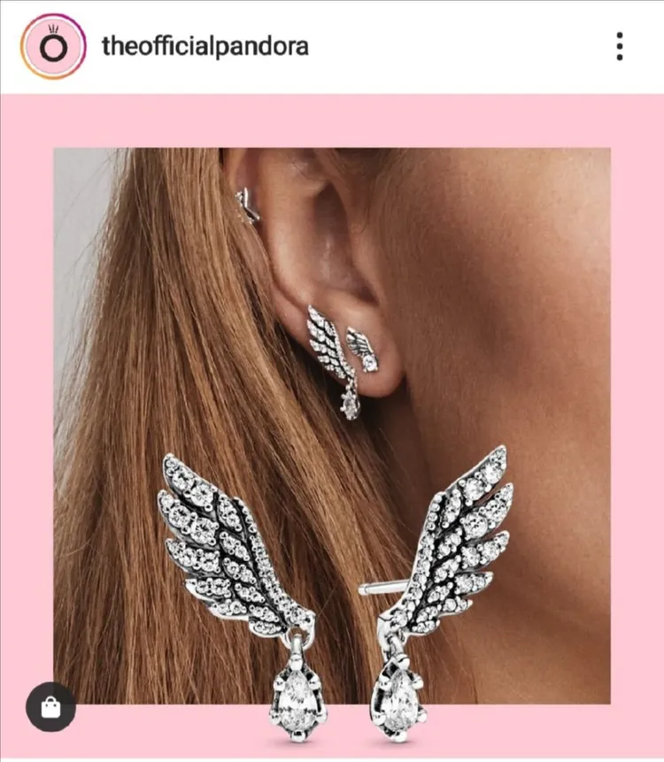 판도라 날개 깃털 귀걸이, 깃털 참 이미지