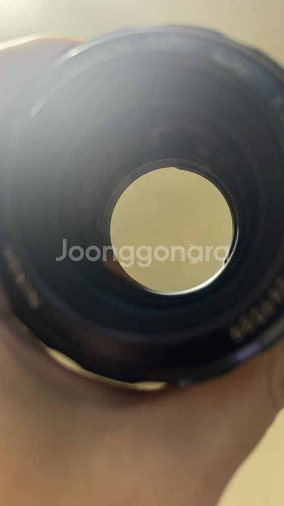 니콘 F바디 + 해바라기 수동 55mm f/1.2 렌즈--4