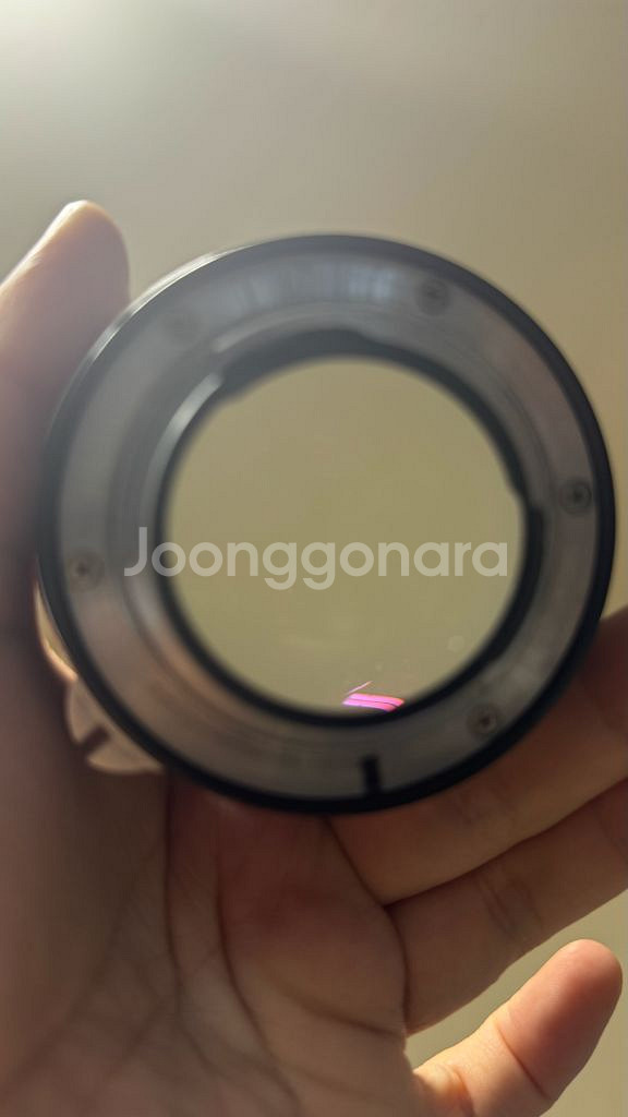 니콘 F바디 + 해바라기 수동 55mm f/1.2 렌즈--5