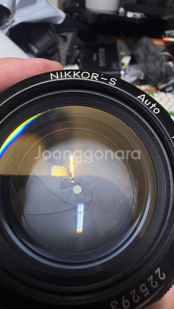 니콘 F바디 + 해바라기 수동 55mm f/1.2 렌즈--6