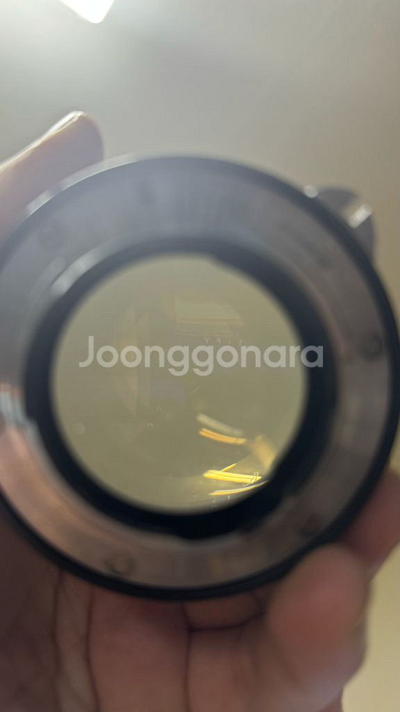 니콘 F바디 + 해바라기 수동 55mm f/1.2 렌즈--9