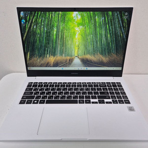 삼성노트북 플러스 NT350XCR (I5-10세대) 512GB