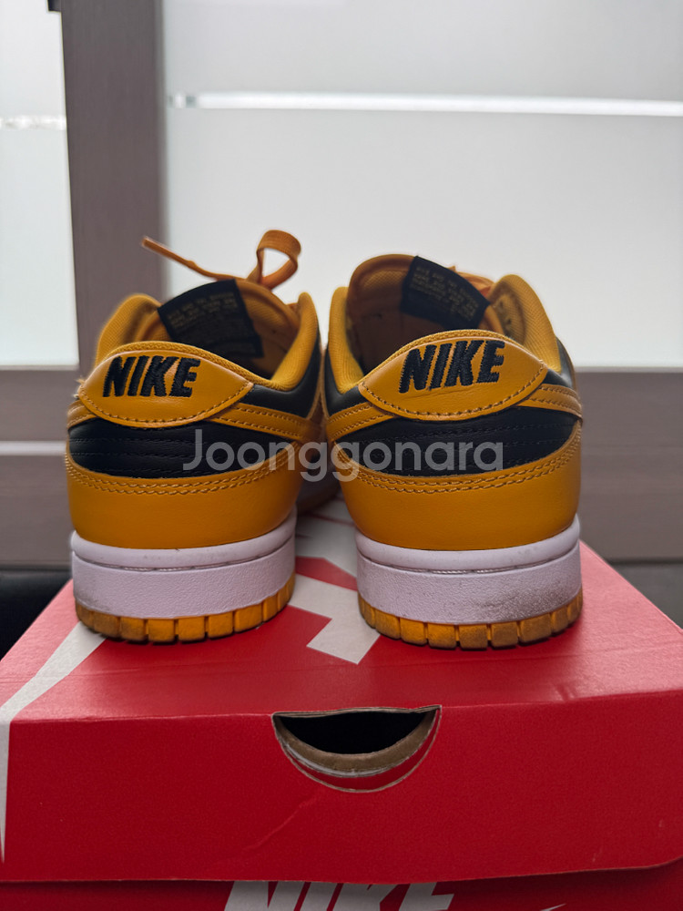 나이키 덩크 로우 레트로 챔피언쉽 골든로드260--3