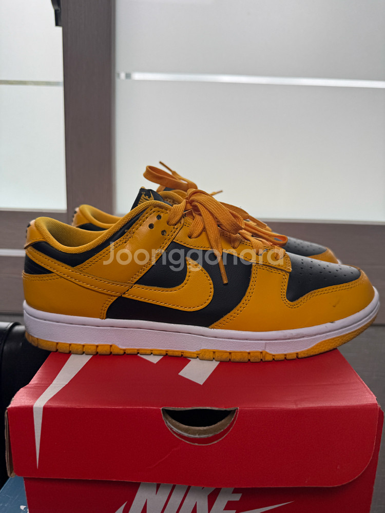 나이키 덩크 로우 레트로 챔피언쉽 골든로드260--4