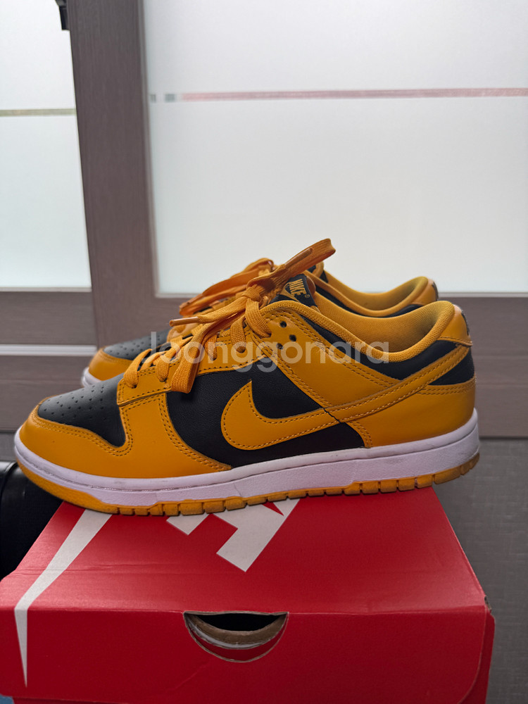 나이키 덩크 로우 레트로 챔피언쉽 골든로드260--2