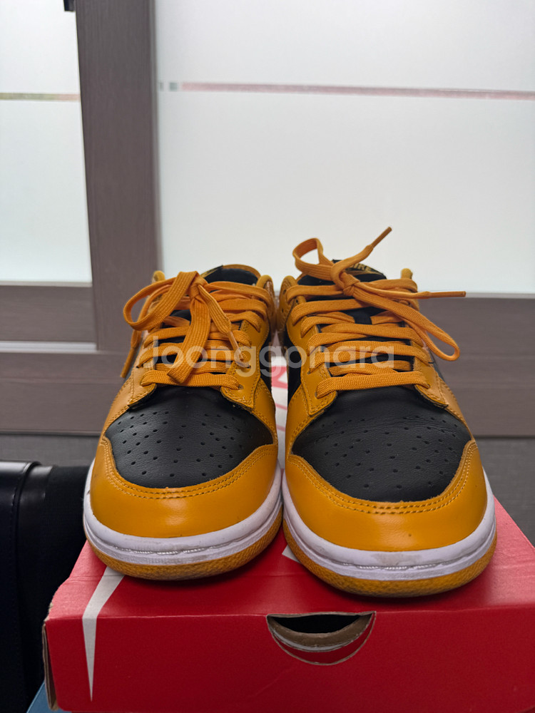 나이키 덩크 로우 레트로 챔피언쉽 골든로드260--5