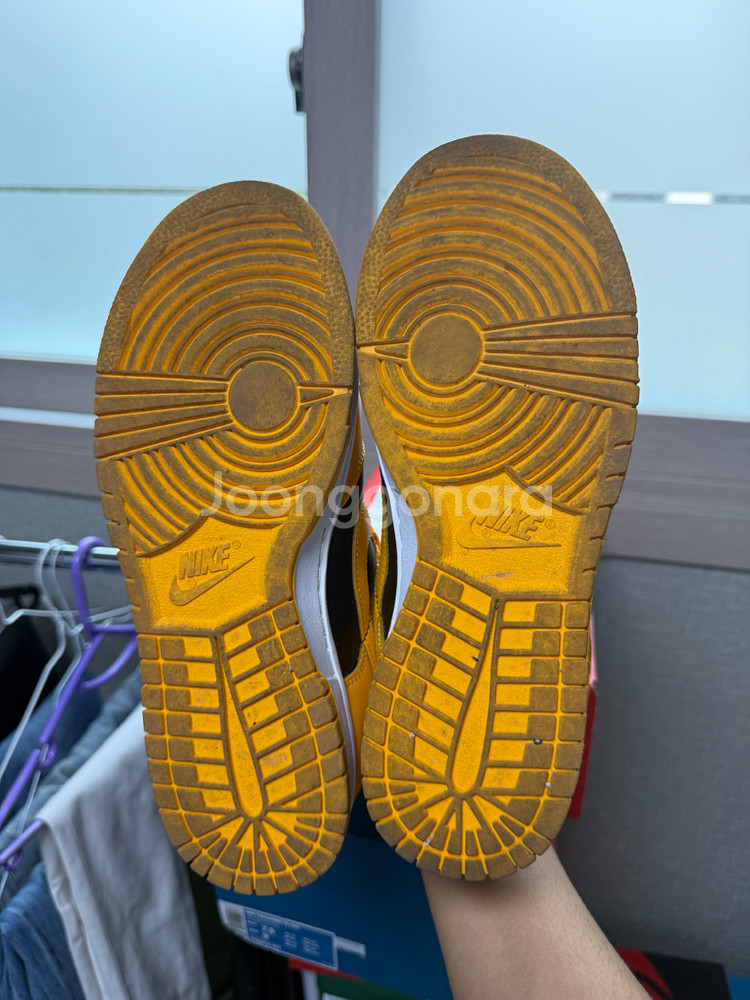 나이키 덩크 로우 레트로 챔피언쉽 골든로드260--6