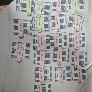 브롤 스타즈 띠부실