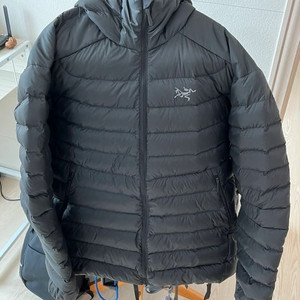 아크테릭스 세륨 후디 l