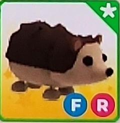 입양하세요 펫 도치--0