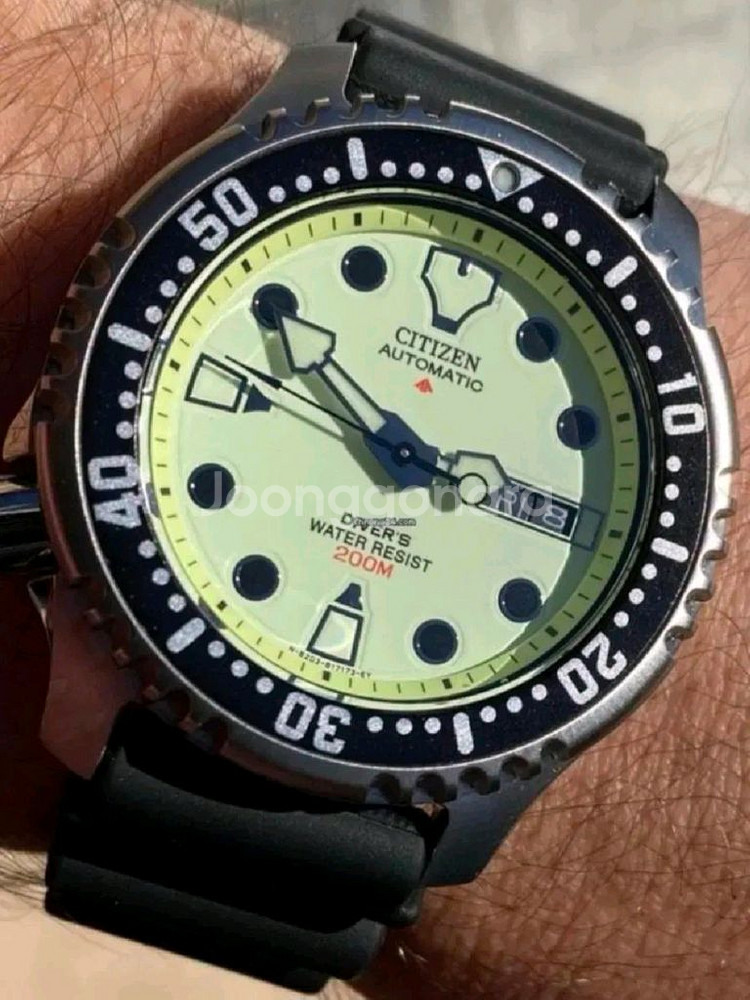 시티즌 복어 풀루메--0