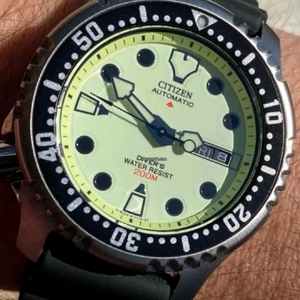 시티즌 복어 풀루메