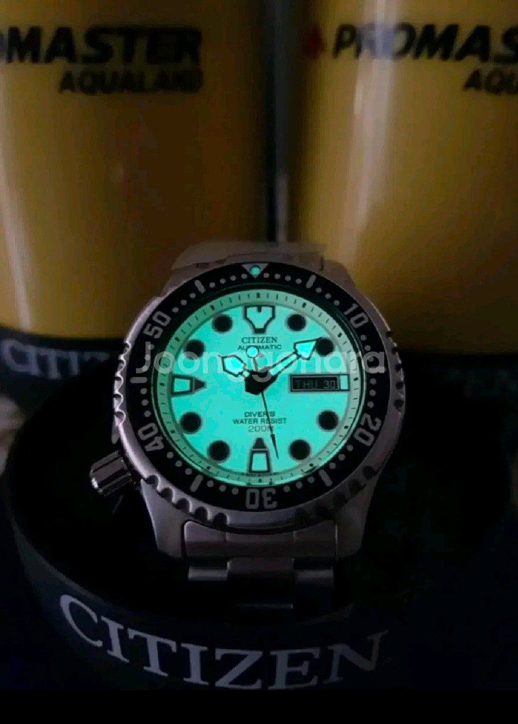 시티즌 복어 풀루메--1