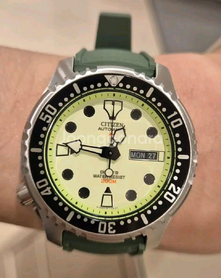 시티즌 복어 풀루메--2