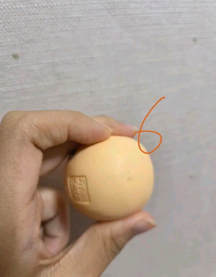 넨도로이드 돌 오비츠 11 22 바디 헤드 손 파츠 넨도돌 이미지