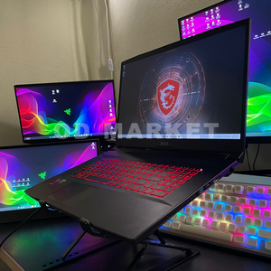 MSI 게이밍 노트북(RTX3060,17.3인치,12세대)