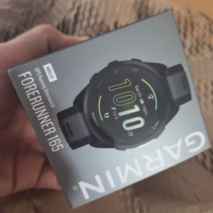 가민 포러너 165