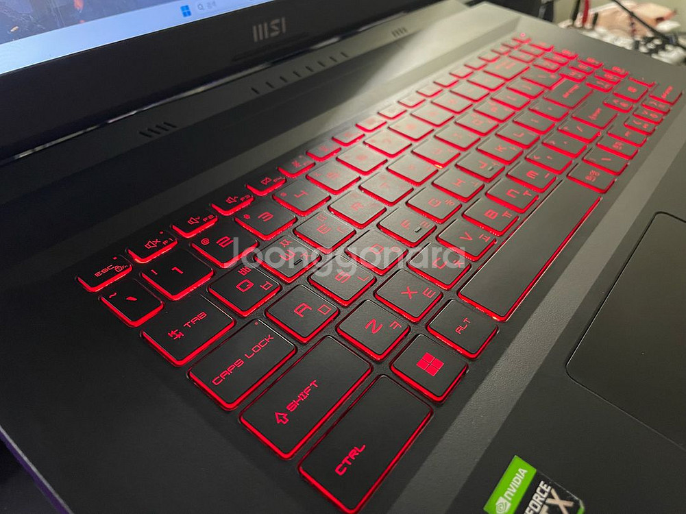 MSI 게이밍 노트북(RTX3060,17.3인치,12세대)--8