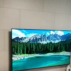 LG oled65인치 tv급판매