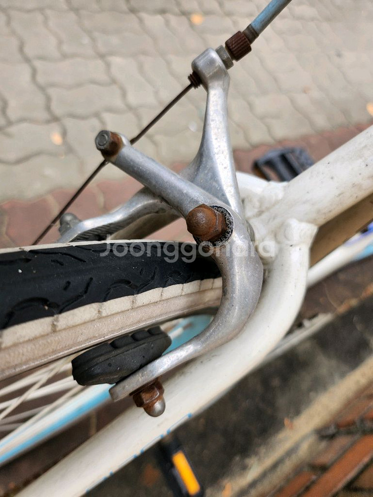 픽시 자전거--9