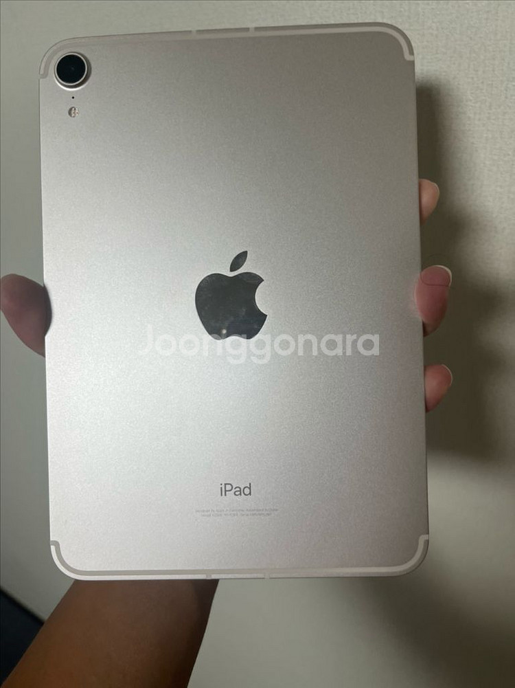 아이패드 미니6 셀룰러 256 에케플--2
