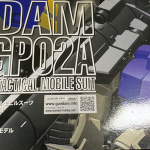 mg 사이살리스 gp02